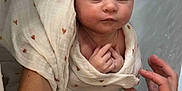 Norah participe au concours pour gagner de l'argent avec cette photo : baby, newborn, blanket, heart_pattern, bath, water, hand, skin, sleeping, wrapped, soft, infant, peaceful, tender, care, closeup, person, human, rest, comfort
