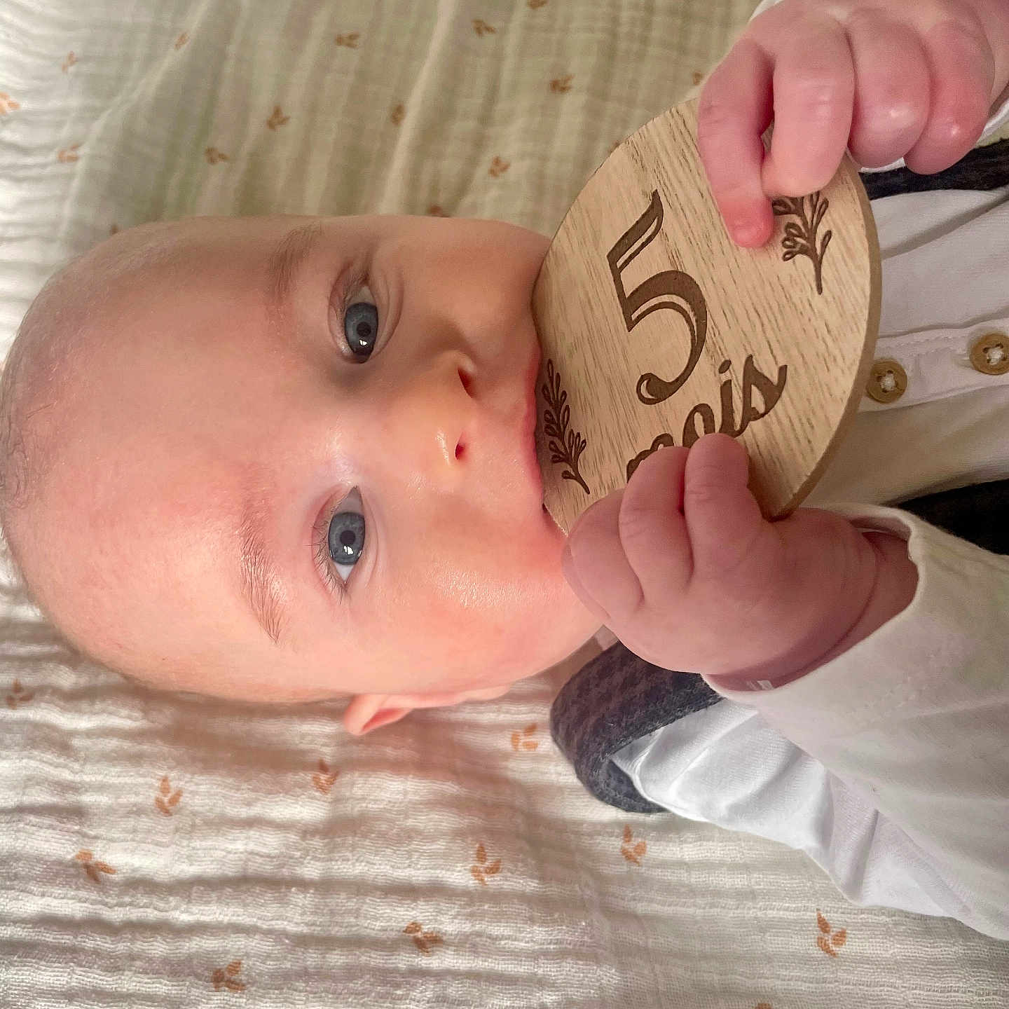 Fañch participe au concours pour gagner de l'argent avec cette photo : adorable, baby, blanket, blue_eyes, chewing, child, closeup, cute, face, hands, indoor, infant, lying_down, milestone, pattern, person, skin, soft_lighting, white_clothing, wooden_plaque