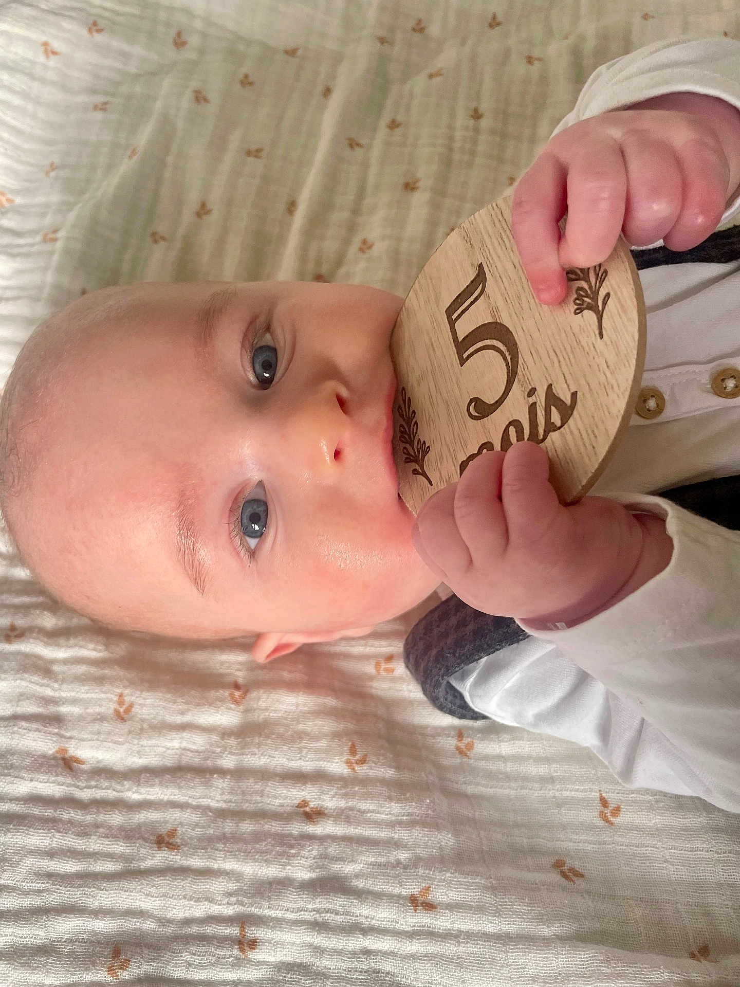 Fañch participe au concours pour gagner de l'argent avec cette photo : baby, infant, blue_eyes, hands, wooden_plaque, milestone, blanket, pattern, chewing, lying_down, cute, child, person, closeup, skin, face, white_clothing, soft_lighting, indoor, adorable