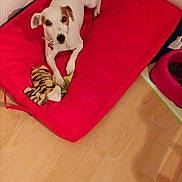 Darling a rejoint le concours — aidez-le/la à gagner de superbes lots !