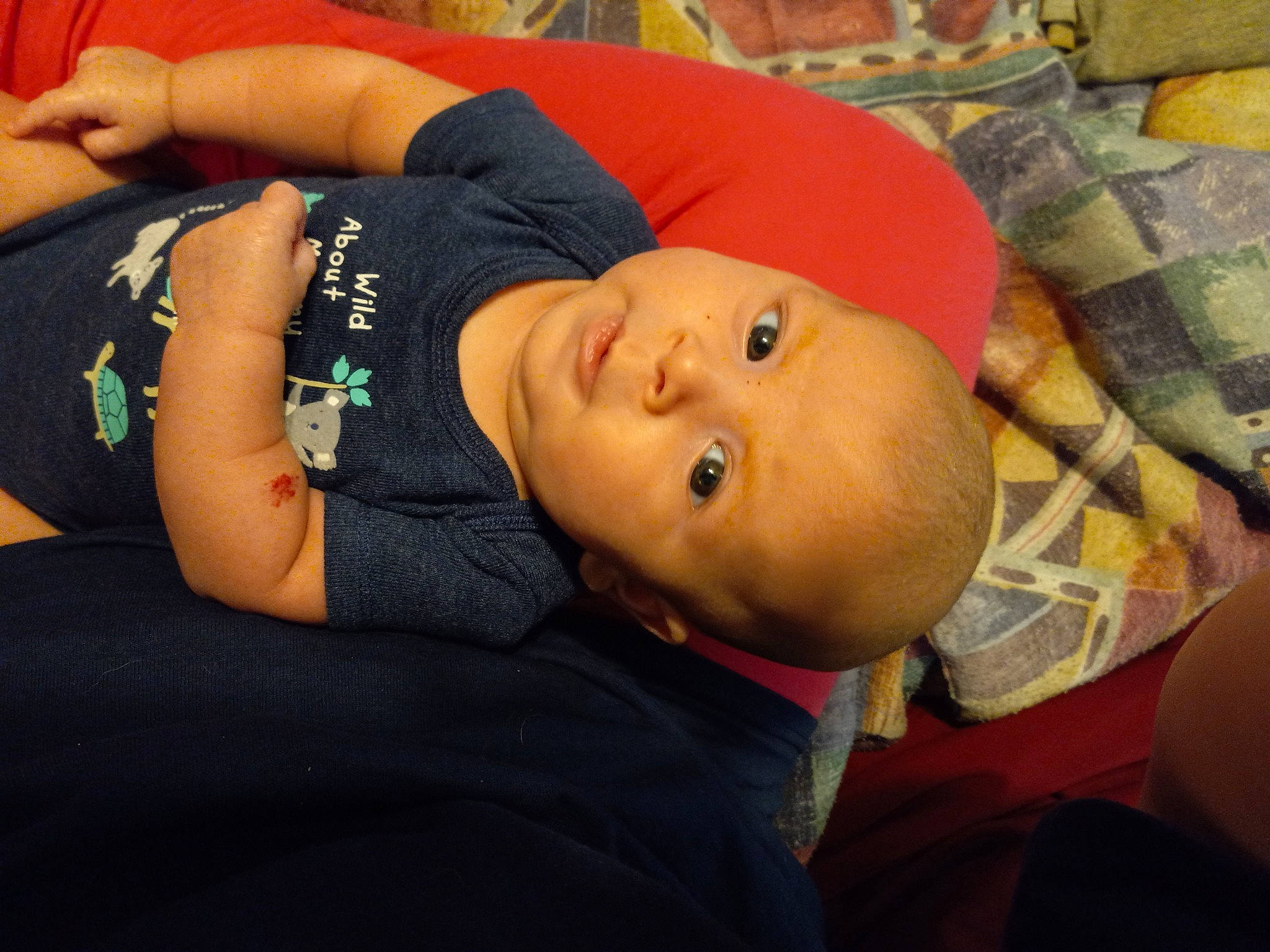 Lukas is registered to the contest to win money with this photo: abdomen, baby, chair, chest, child, comfort, couch, elbow, fun, hat, headgear, linens, nap, person, plant, room, sitting, sleep, toddler, tree