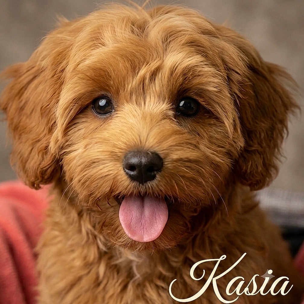 Kasia