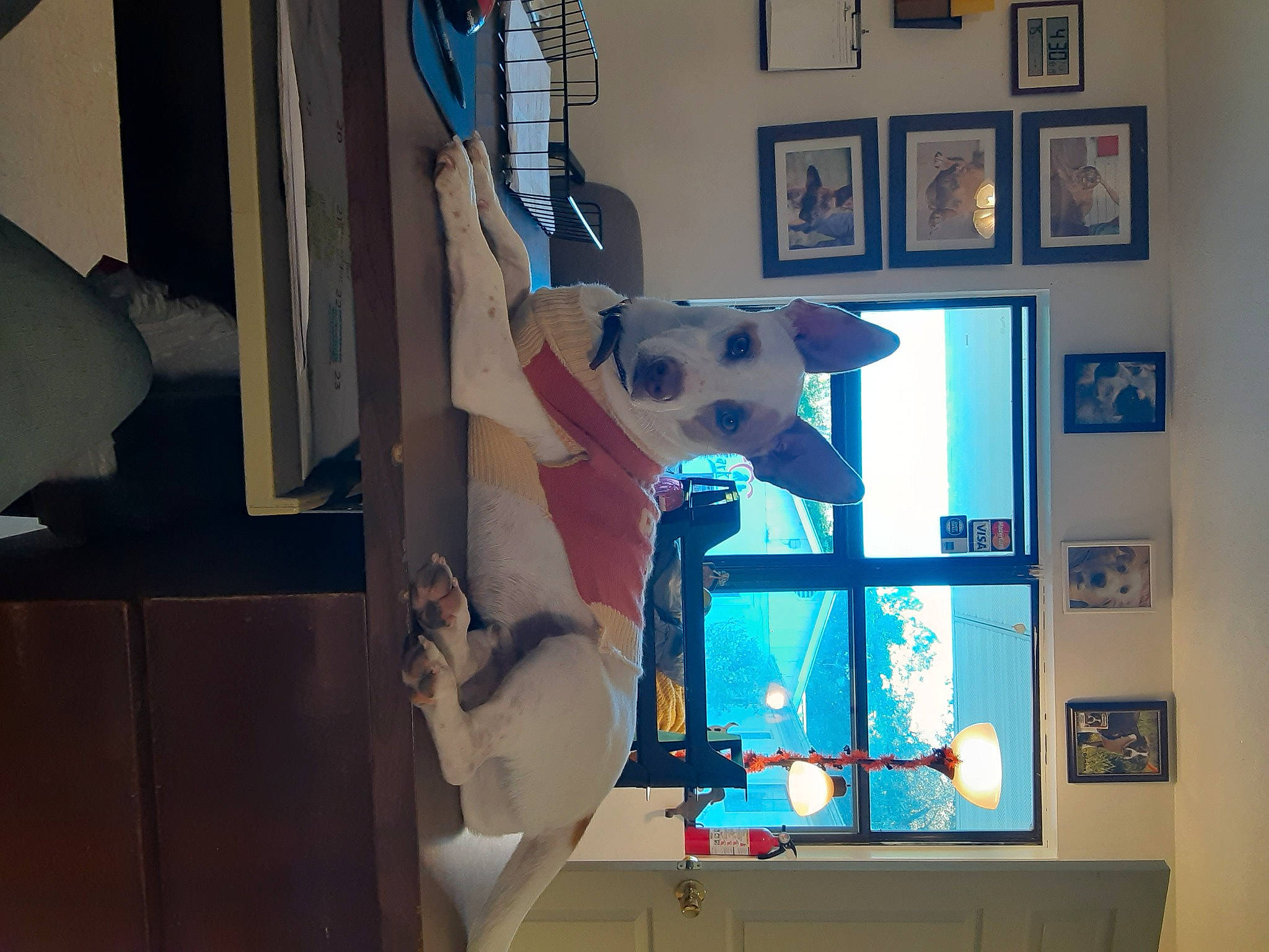 Westley joined the competition — help win amazing prizes! art, building, ceiling, display_device, flat_panel_display, flooring, interior_design, machine, multimedia, plaster, projection_screen, room, space, television, textile, visual_arts, wall, window, wood, world