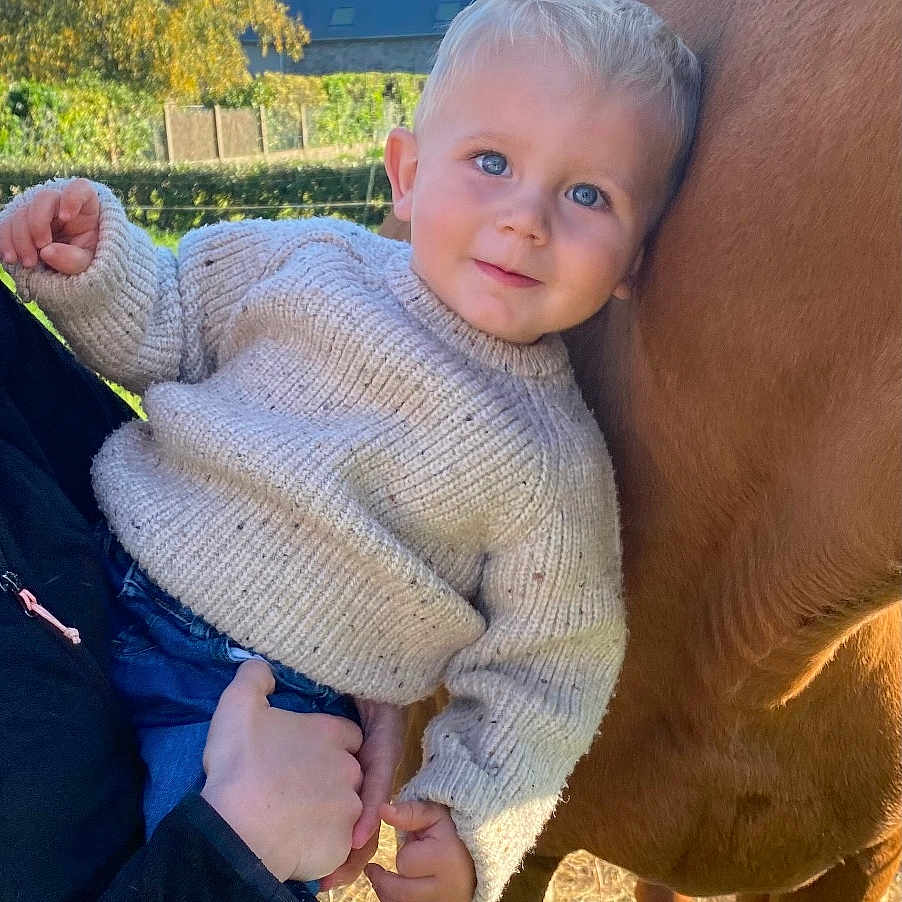 Eden participe au concours pour gagner de l'argent avec cette photo : animal, autumn, blue_eyes, child, face, farm, grass, hand, holding, horse, jeans, nature, outdoor, person, portrait, sunlight, sweater, toddler, tree, white_shoes