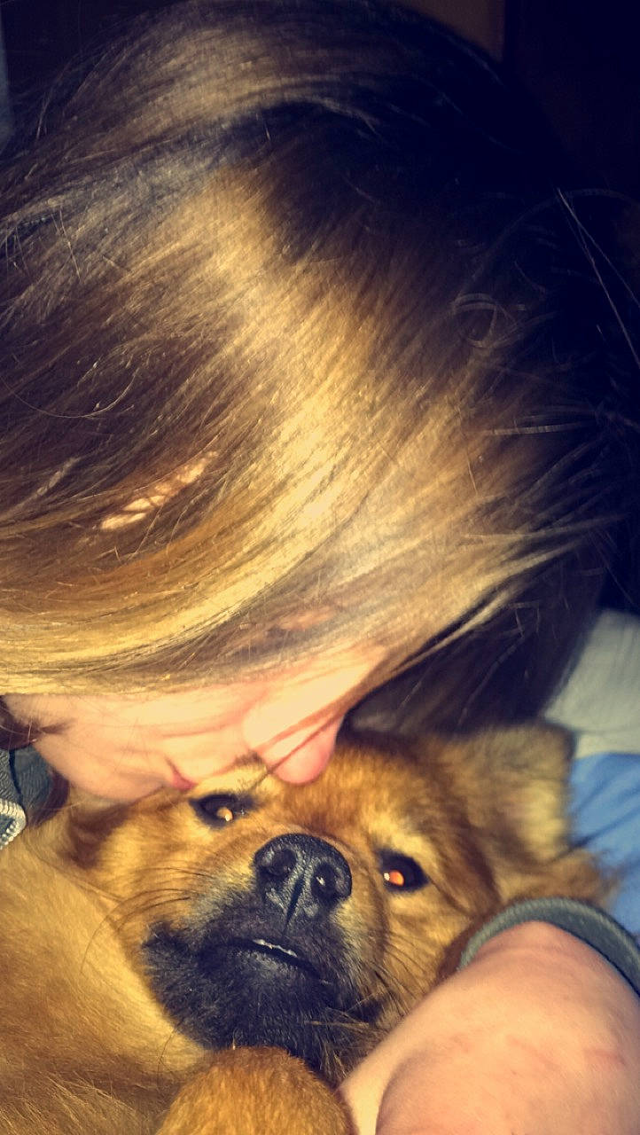 Kenzo participe au concours pour gagner de l'argent avec cette photo : canidae, carnivore, companion_dog, dog, dog_breed, ear, fawn, hair, mammal, nose, pomeranian, puggle, puppy, puppy_love, skin, snout, tibetan_spaniel, toy_dog