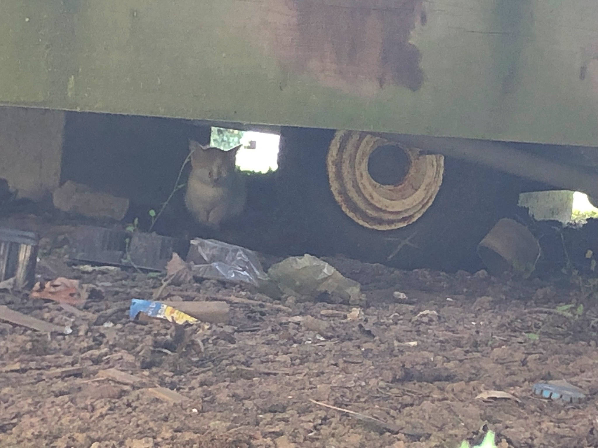 Crevette participe au concours pour gagner de l'argent avec cette photo : auto_part, automotive_wheel_system, soil, vehicle