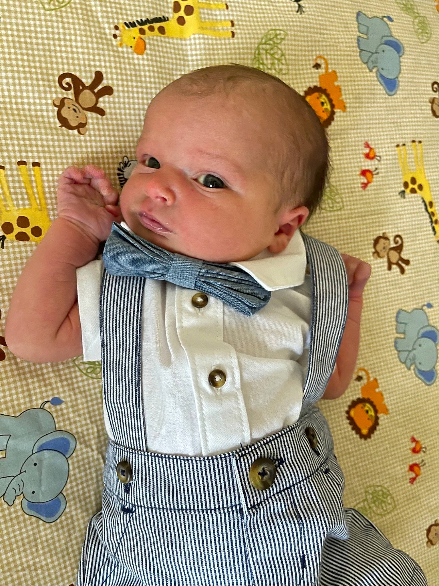 Zealand is registered to the contest to win money with this photo: baby, baby_toddler_clothing, bow_tie, cheek, child, collar, dress, dress_shirt, happy, outerwear, pattern, person, plaid, pollinator, product, skin, sleeve, tartan, textile, toddler