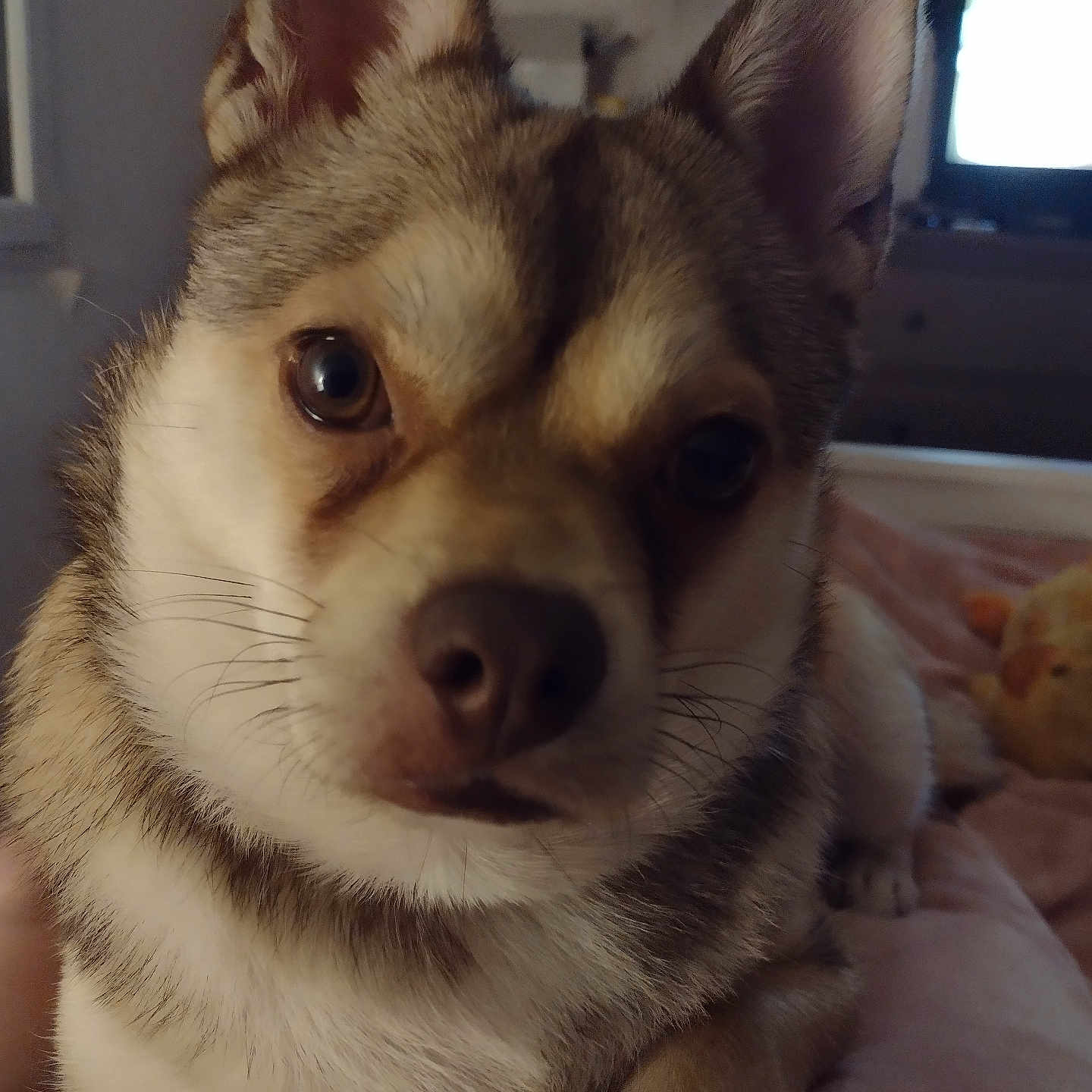 Néo