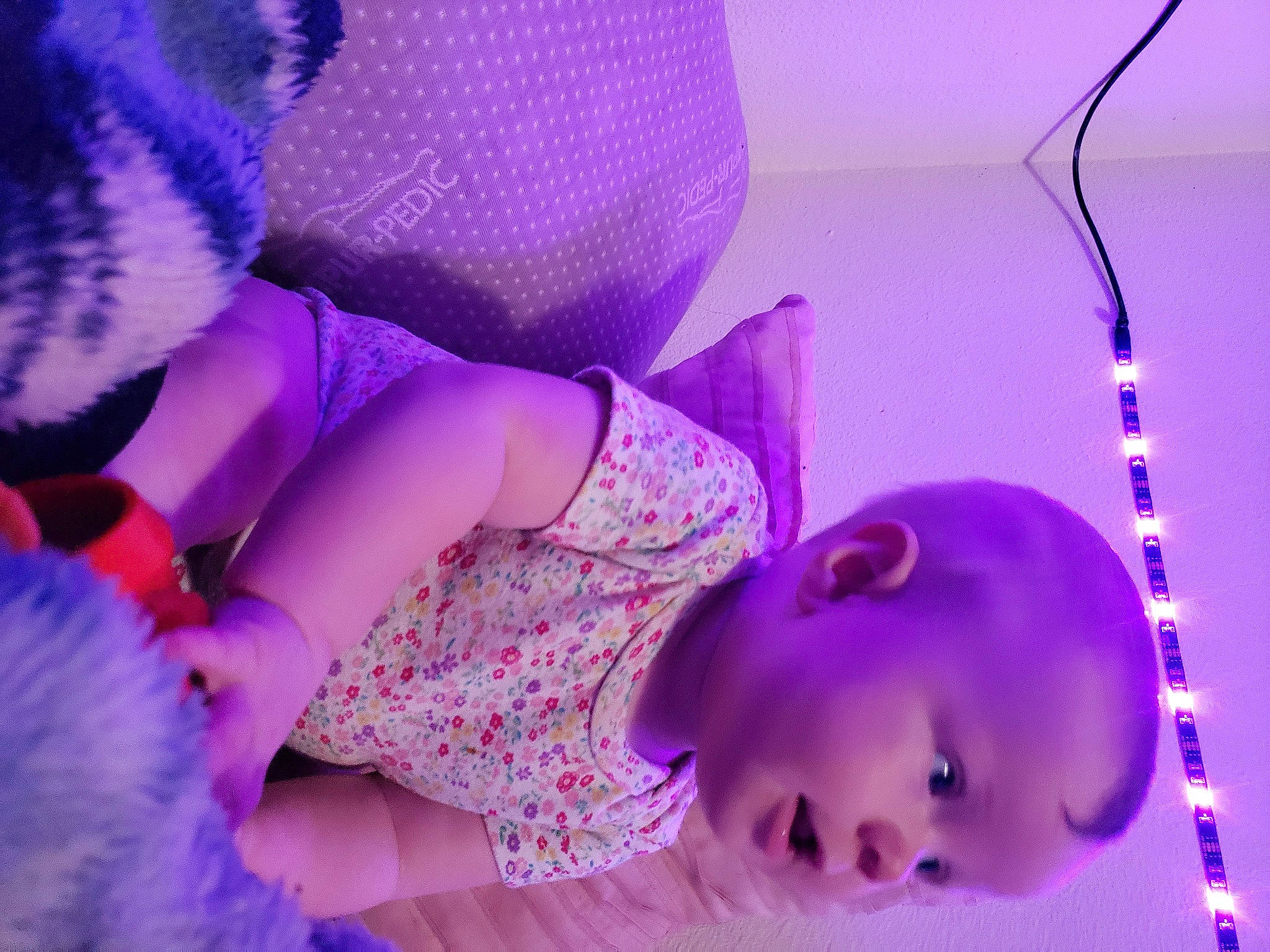 Phoebe joined the competition — help win amazing prizes! beauty, blue, child, doll, event, eyelash, finger, light, magenta, organism, person, petal, photograph, pink, plant, purple, skin, snapshot, thigh, toddler