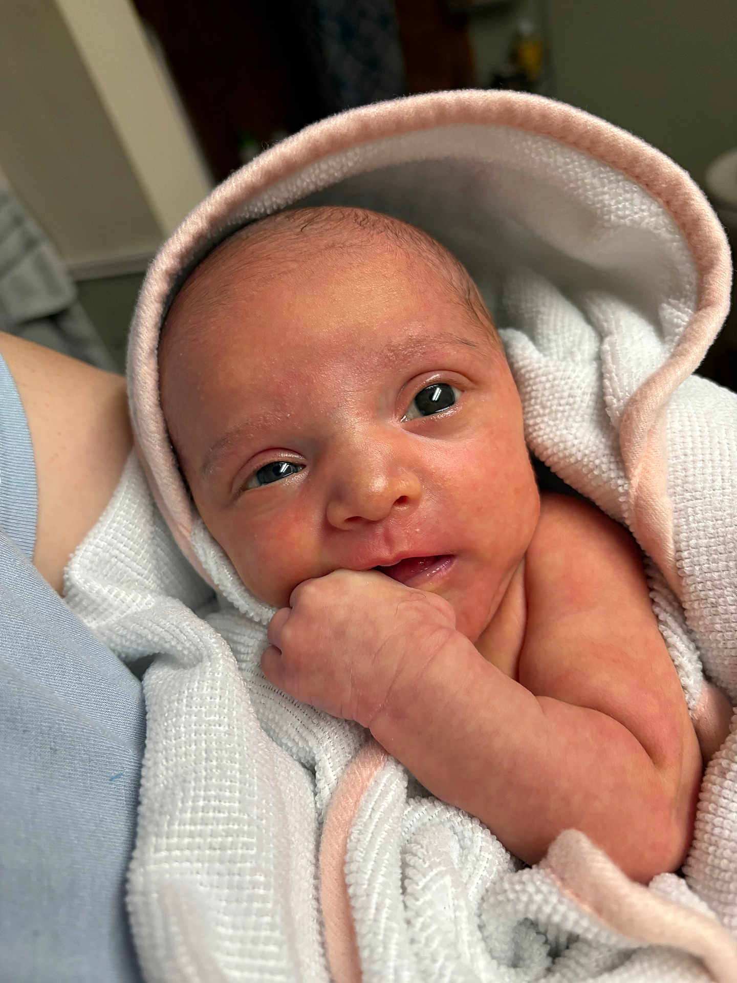 Aria joined the competition — help win amazing prizes! newborn, baby, infant, wrapped, blanket, soft, skin, face, hand, fist, curious, eyes, closeup, indoors, portrait, cute, tender, newborn_baby, child, person