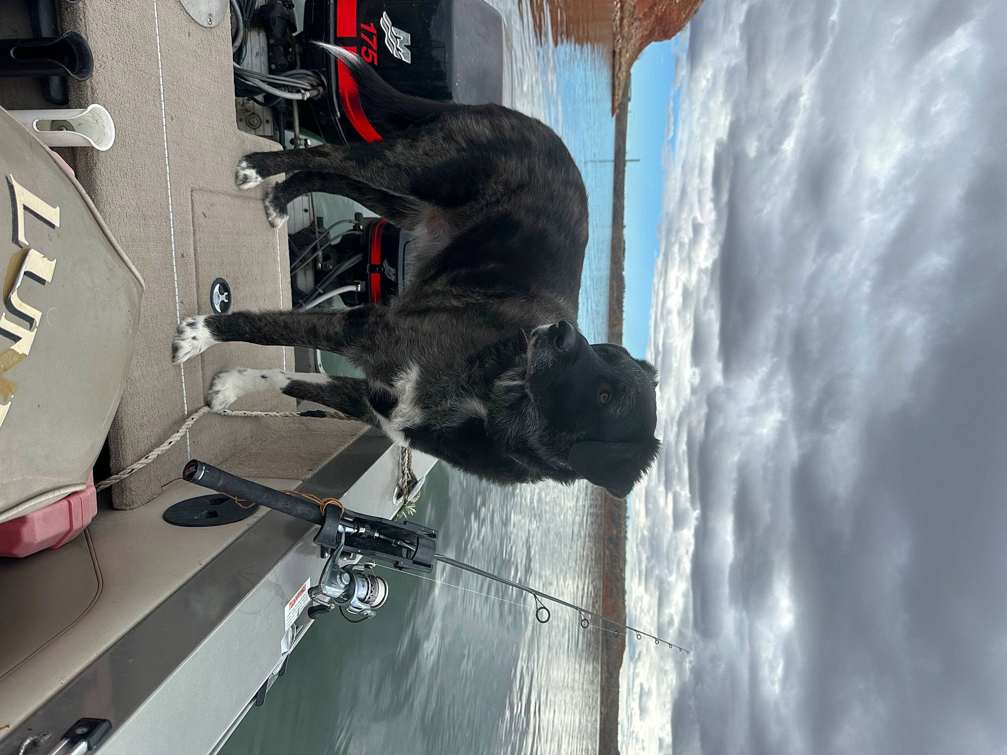 Zip joined the competition — help win amazing prizes! adventure, art, auto_part, automotive_exterior, automotive_tire, automotive_wheel_system, bumper, cloud, extreme_sport, horse, lake, machine, recreation, sculpture, sky, tire, vehicle, water, wheel, windshield