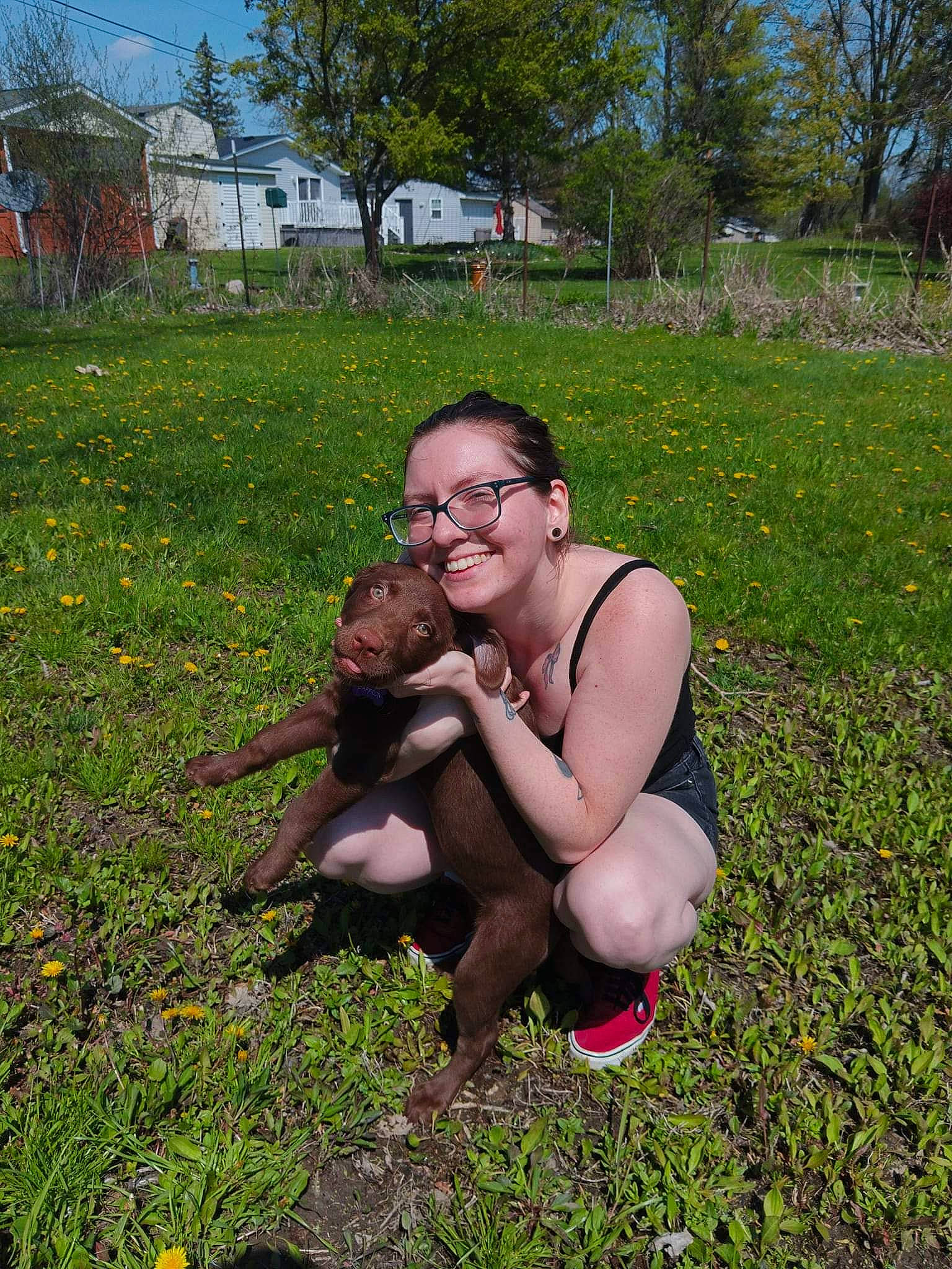 Saffron is registered to the contest to win money with this photo: carnivore, companion_dog, dog, dog_breed, fawn, flower, fun, grass, grassland, groundcover, happy, lawn, leg, meadow, people_in_nature, plant, shrub, smile, thigh, tree