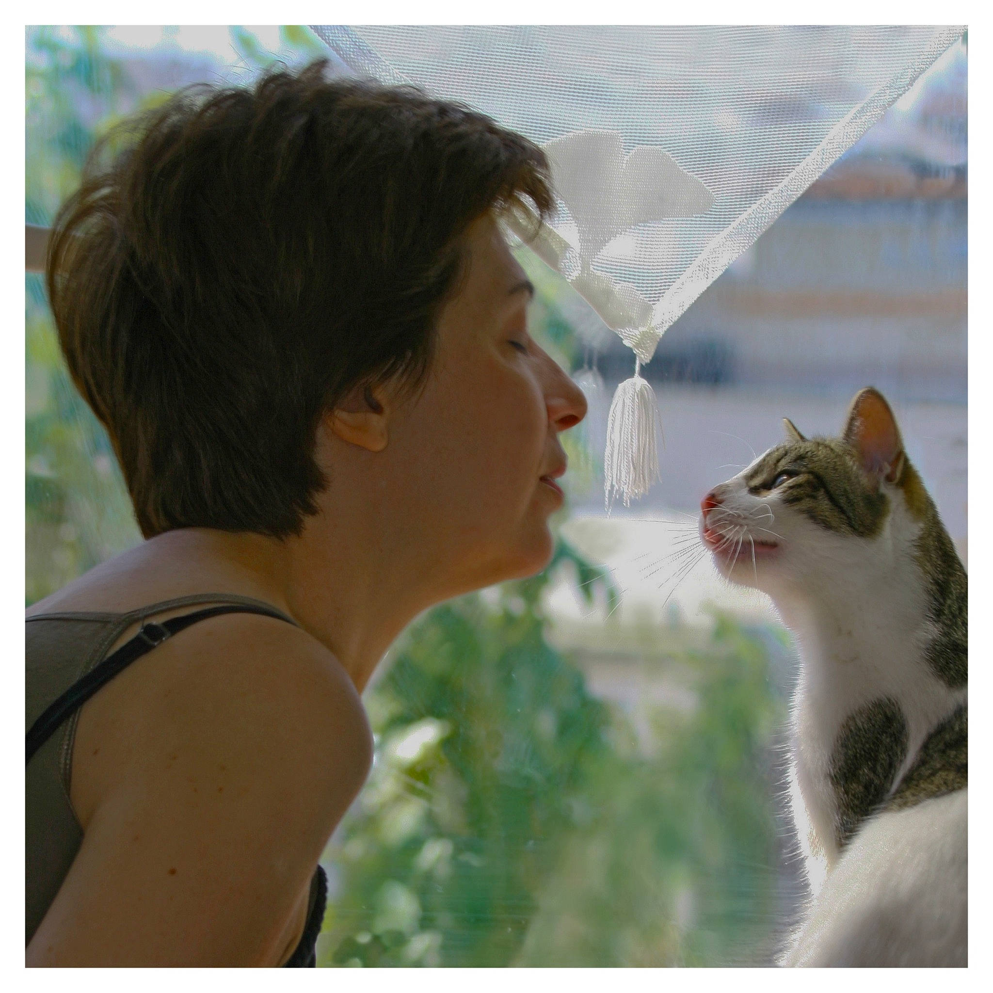 Clochette a rejoint le concours — aidez-le/la à gagner de superbes lots ! carnivore, cat, champagne_stemware, domestic_short_haired_cat, drinking, drinkware, ear, eyelash, felidae, fur, gesture, glass, grass, happy, jaw, love, small_to_medium_sized_cats, stemware, whiskers, window