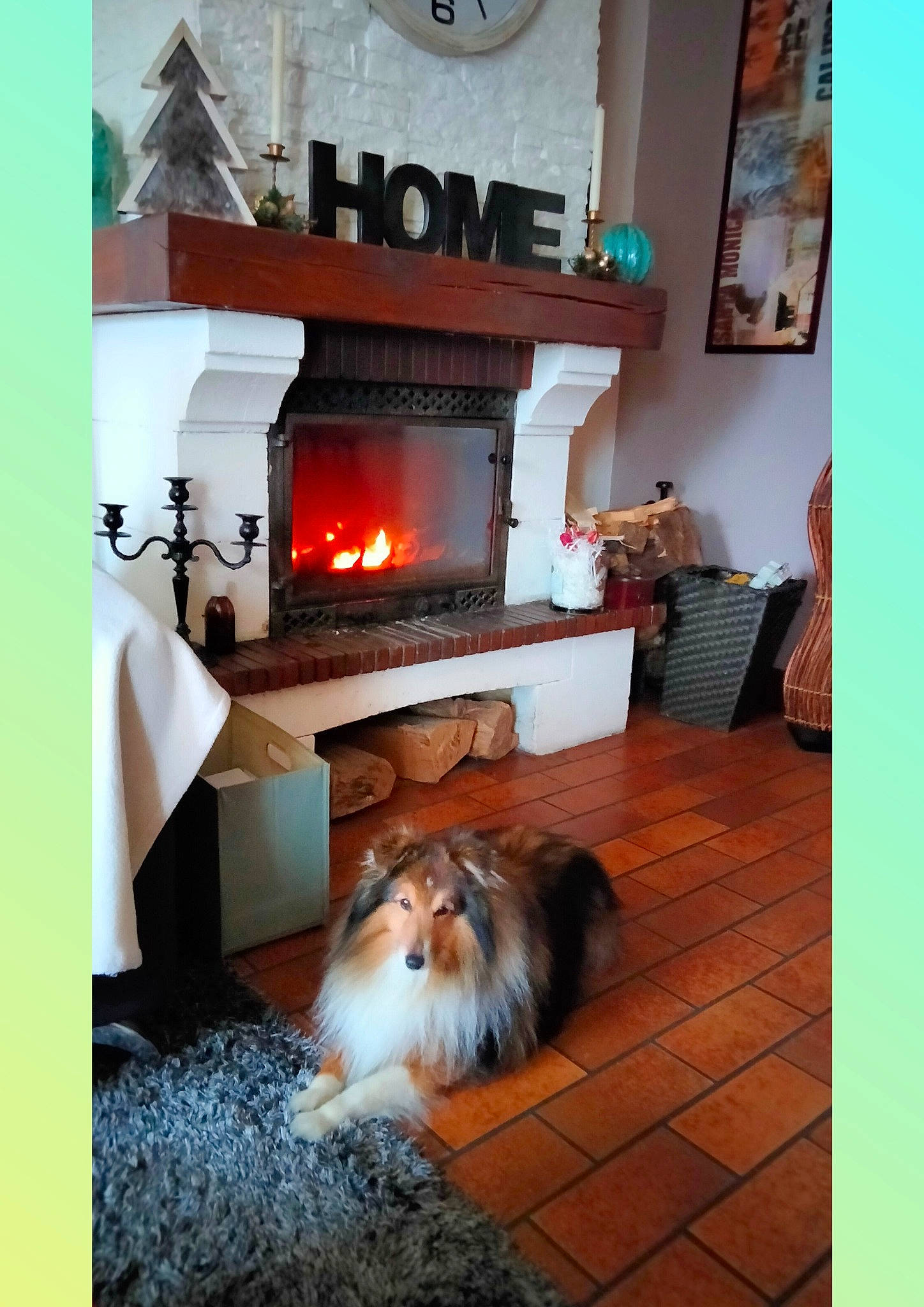 Jessy participe au concours pour gagner de l'argent avec cette photo : carnivore, chair, collie, companion_dog, dog, fireplace, flame, flooring, gas, hardwood, hearth, heat, interior_design, living_room, rectangle, room, rough_collie, shetland_sheepdog, wood, wood_burning_stove