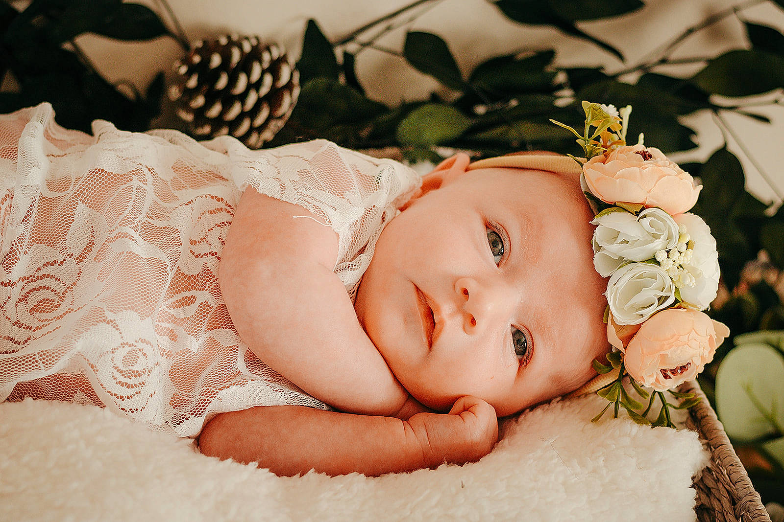 Ellisia is registered to the contest to win money with this photo: baby, baby_toddler_clothing, beauty, eye, eyelash, face, flash_photography, grass, happy, head, headband, headgear, headpiece, headwear, jewellery, lip, person, plant, rose, skin