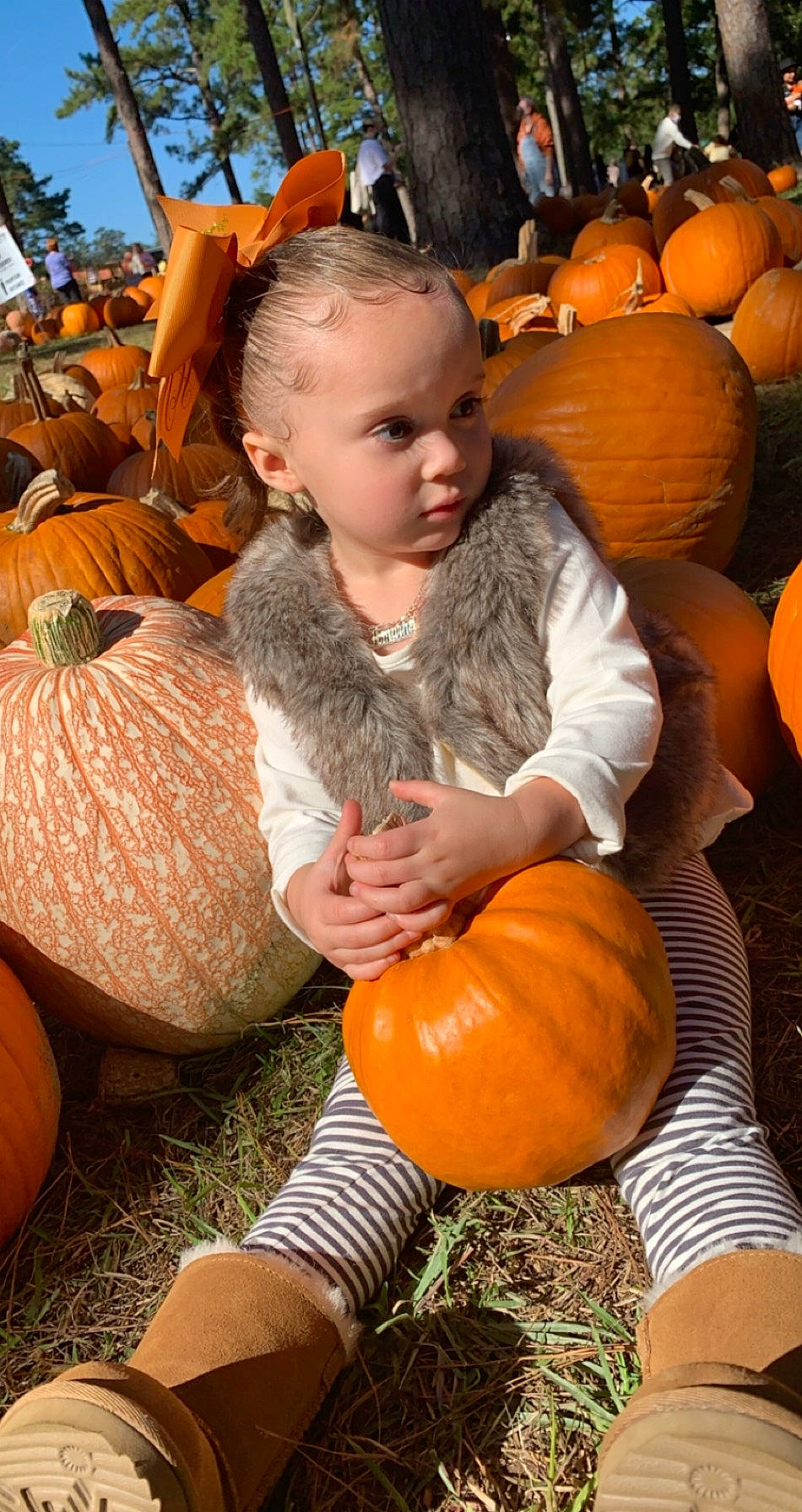 Hermione is registered to the contest to win money with this photo: _and_melon_family, _gourd, autumn, calabaza, child, cucumber, cucurbita, food, fruit, gourd, local_food, orange, person, plant, produce, pumpkin, squash, toddler, vegetable, vegetarian_food