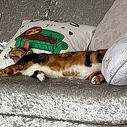 Delilah joined the competition — help win amazing prizes! cat, tabby_cat, couch, pillow, indoor, sleeping, yawning, pet, feline, cozy, home, fur, animal, relaxing, stretching, decor, soft, domestic_animal, resting, comfort