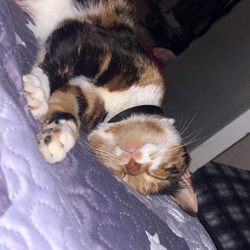 Delilah