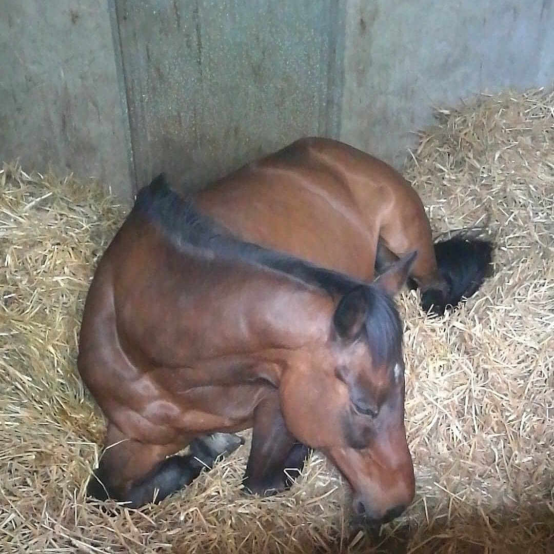 Osez Joséphine