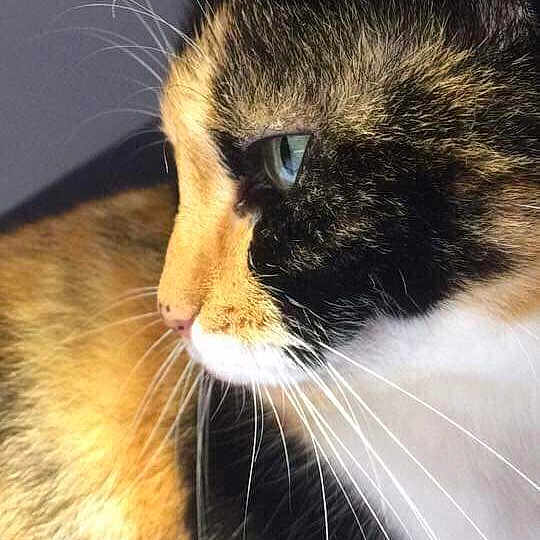 Ruby