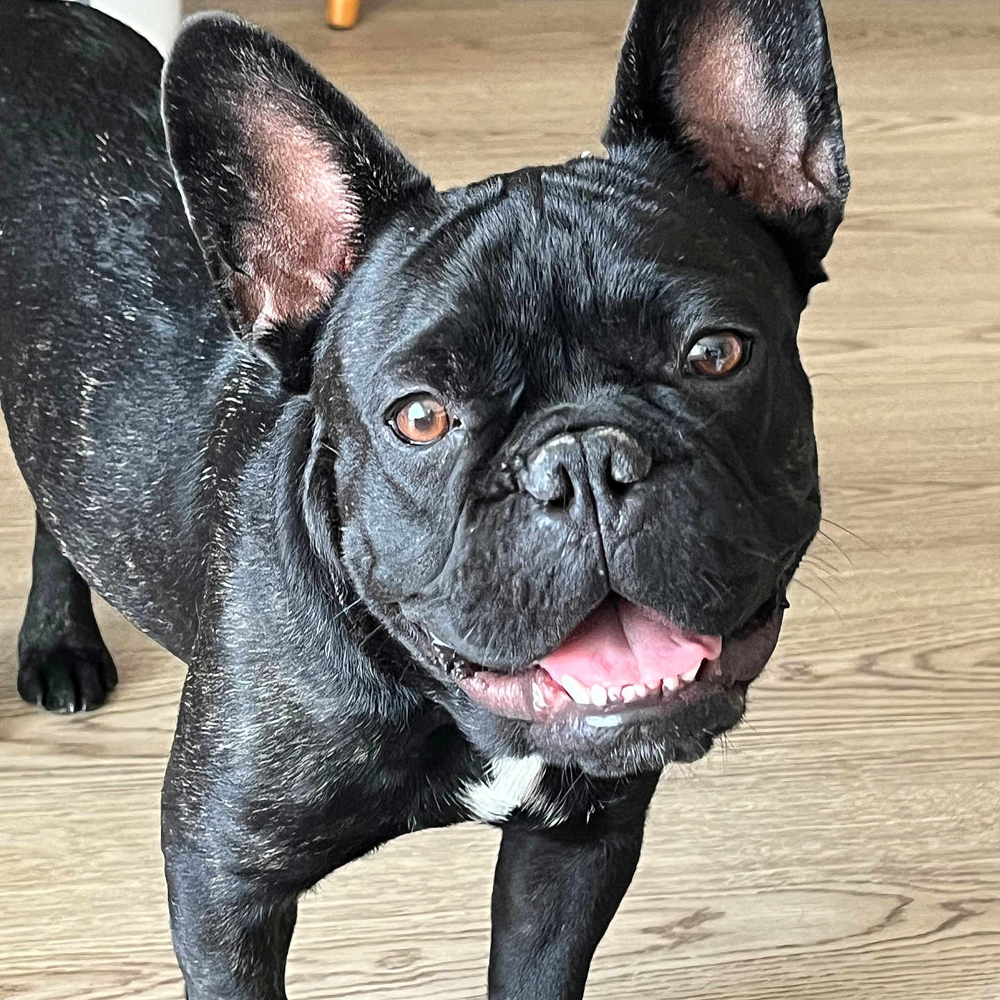 Yoda