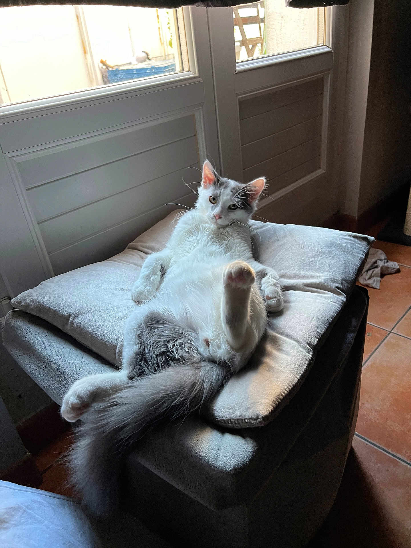 Hadès