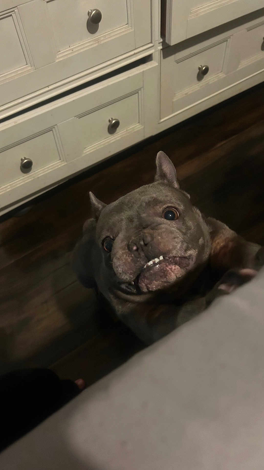 Sophia