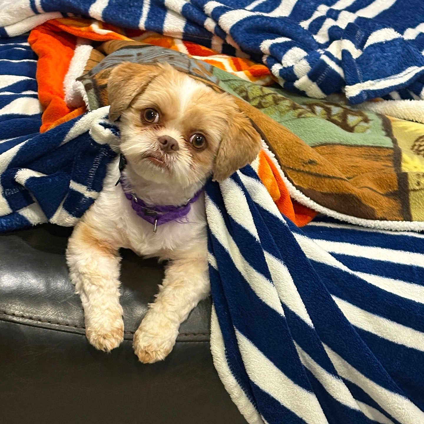 Kelsea