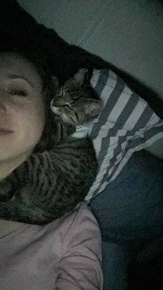 Pompon participe au concours pour gagner de l'argent avec cette photo : carnivore, cat, child, comfort, darkness, domestic_short_haired_cat, eye, felidae, fur, grey, monochrome, monochrome_photography, nap, sitting, sleep, small_to_medium_sized_cats, smile, style, tail, whiskers