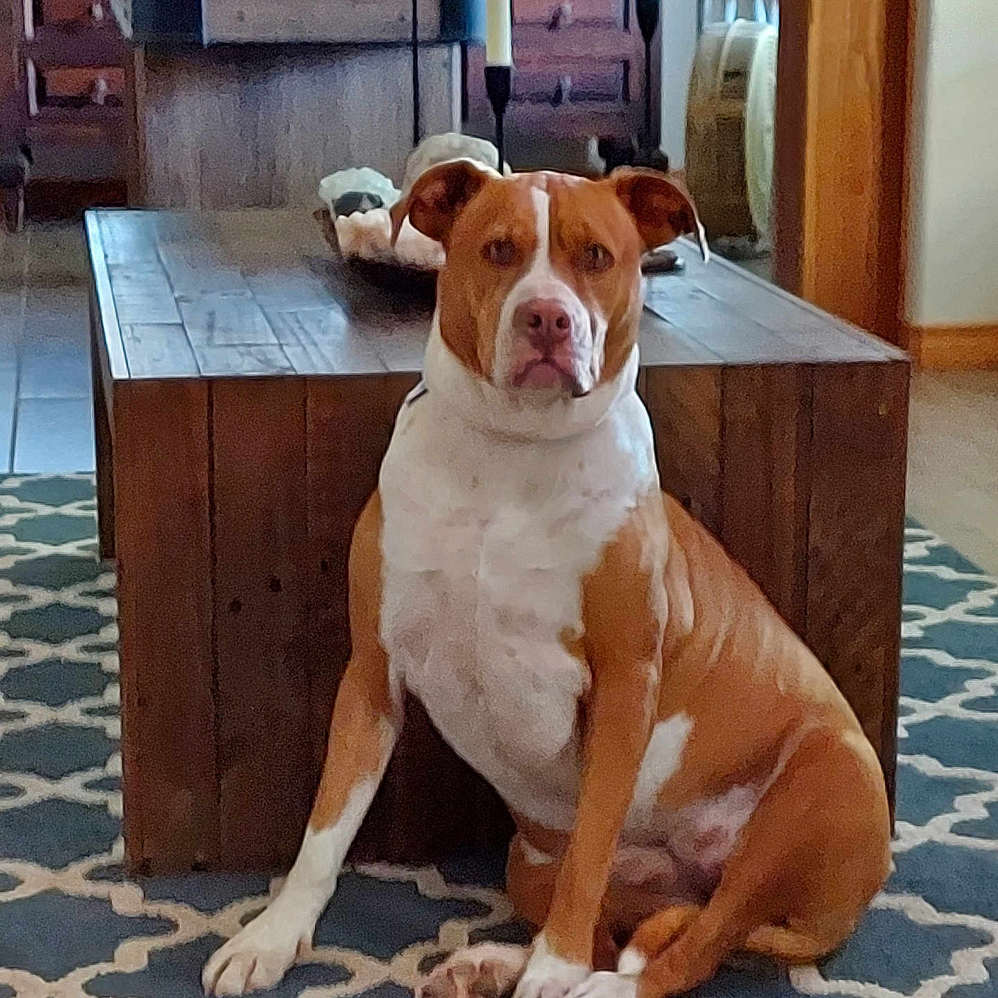 Kaleesi