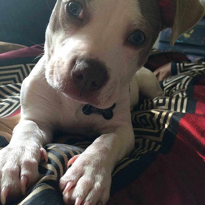 Sophie joined the competition — help win amazing prizes!