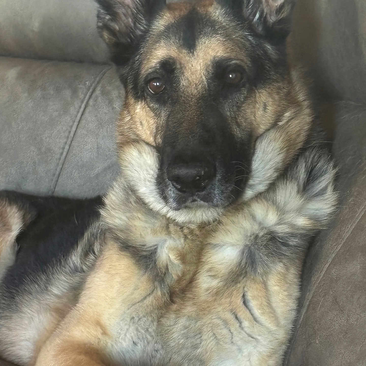 Axel