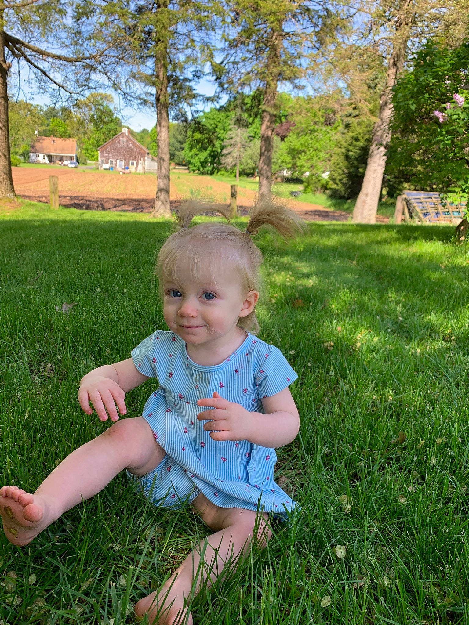 Elizabeth is registered to the contest to win money with this photo: baby, backyard, child, garden, grass, grass_family, green, joy, lawn, leaf, meadow, person, photography, plant, sitting, spring, summer, toddler, tree, vacation
