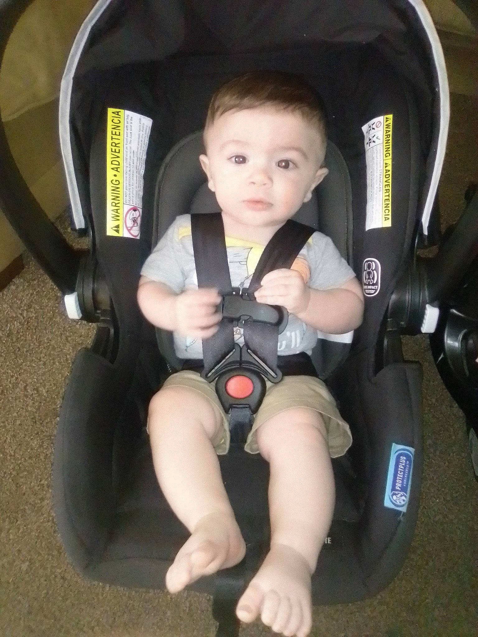 Kaiden is registered to the contest to win money with this photo: auto_part, baby, baby_carriage, baby_in_car_seat, baby_toddler_clothing, car_seat, comfort, fun, hand, human_body, lap, leg, mammal, person, plant, seat_belt, steering_wheel, thigh, tire, toddler
