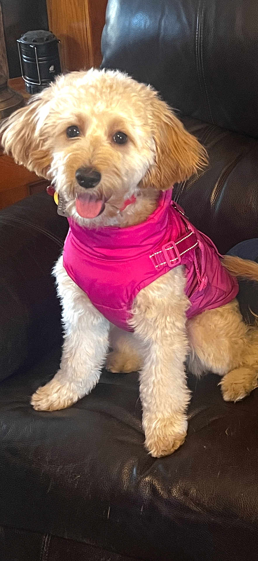 Sophie