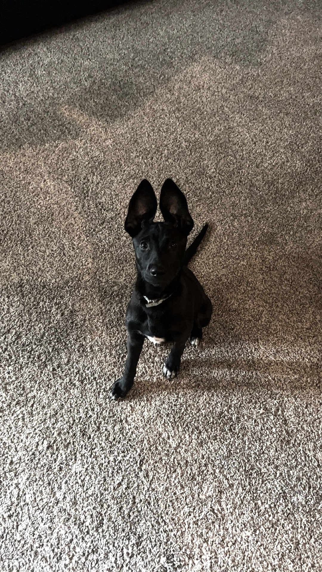 Winnie