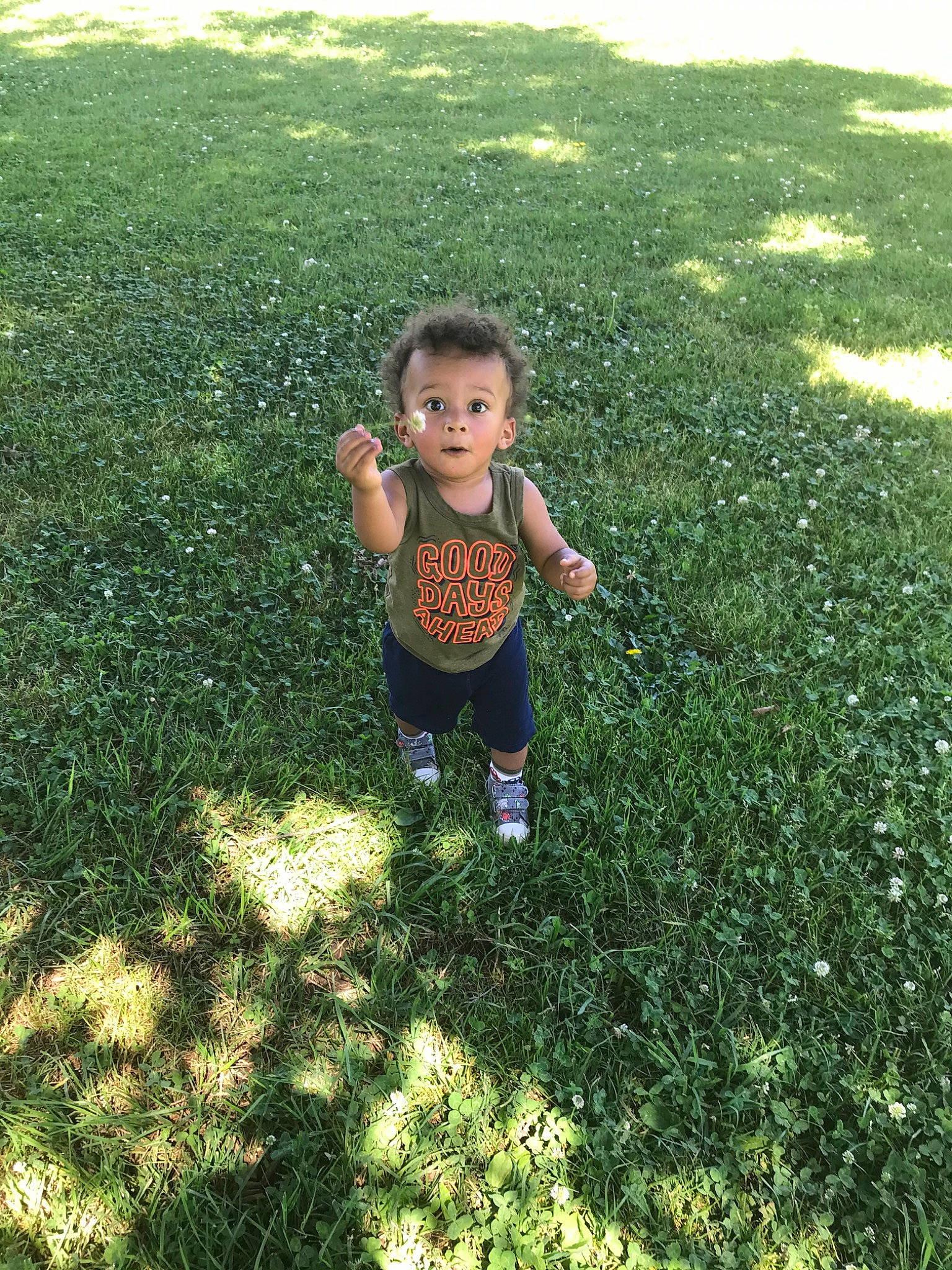 Caspian joined the competition — help win amazing prizes! child, grass, grass_family, lawn, leaf, person, plant, play, shadow, shrub, summer, surprise, toddler, tree, yard