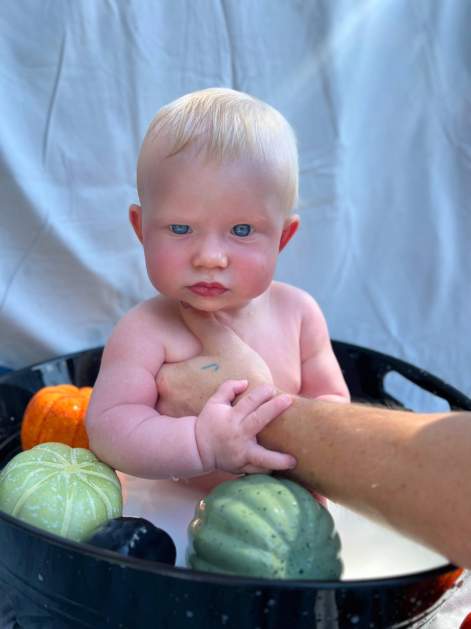 Zealand is registered to the contest to win money with this photo: baby, baby_products, baby_toddler_clothing, calabaza, cheek, child, finger, green, happy, iris, local_food, nail, natural_foods, person, produce, sitting, sweetness, thumb, toddler, vegetable