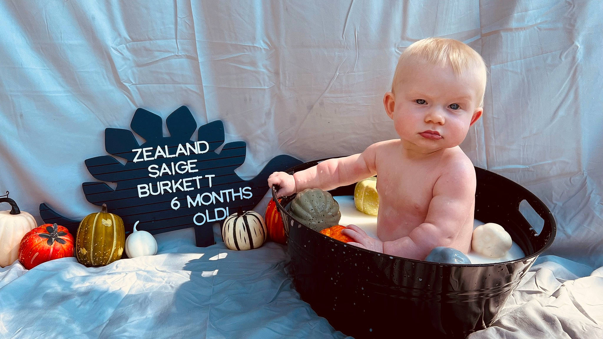 Zealand joined the competition — help win amazing prizes! baby, baby_products, baby_toddler_clothing, basket, bathing, bowl, chest, child, diaper, event, fashion_accessory, font, happy, holiday, jewellery, person, pumpkin, room, sitting, sweetness