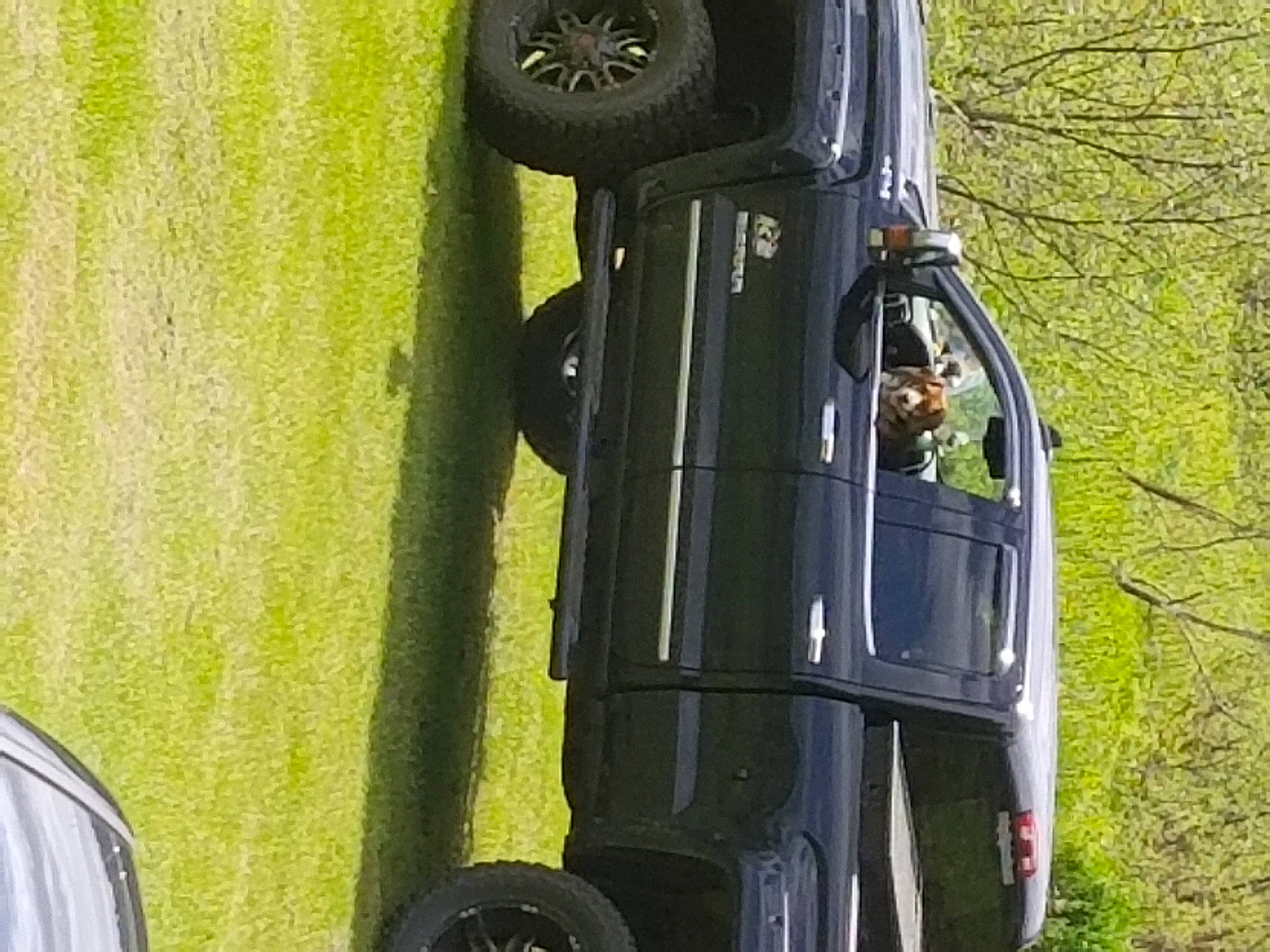 Snoopy is registered to the contest to win money with this photo: automotive_design, automotive_exterior, automotive_lighting, automotive_mirror, automotive_parking_light, automotive_side_marker_light, automotive_side_view_mirror, automotive_tire, bumper, car, door, hood, motor_vehicle, plant, rim, tire, tread, vehicle, wheel, window