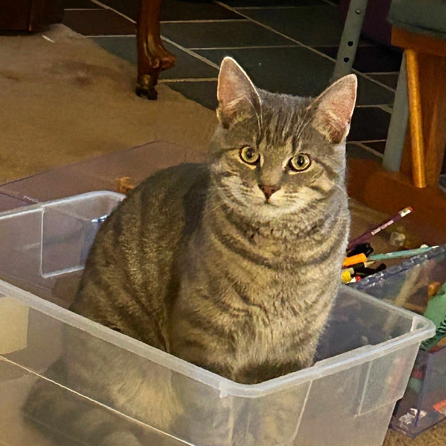Kit Kat