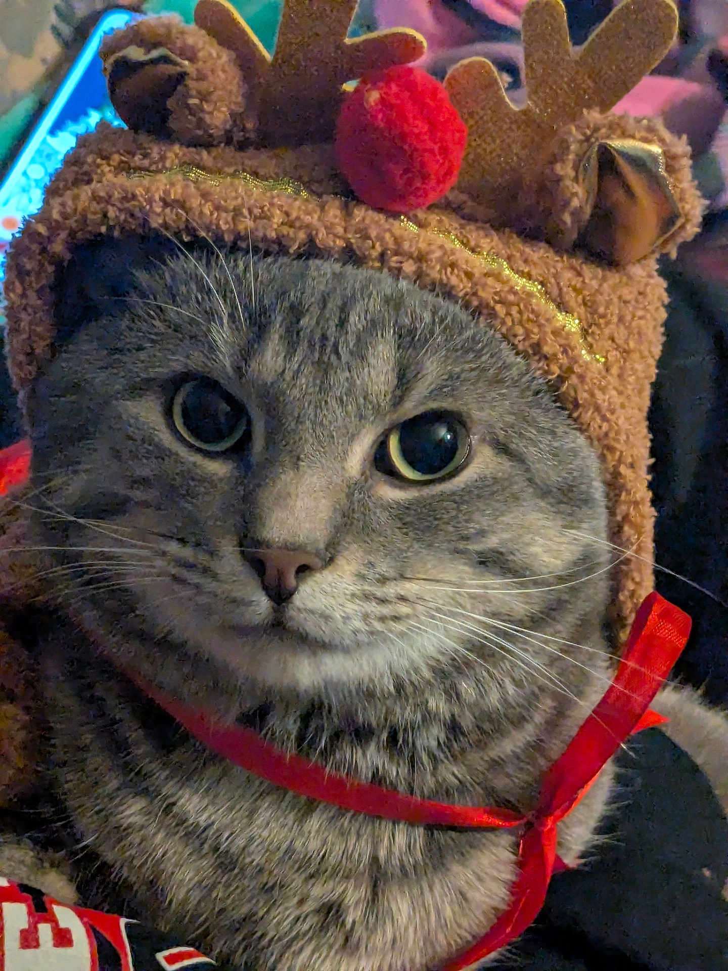 Kitkat