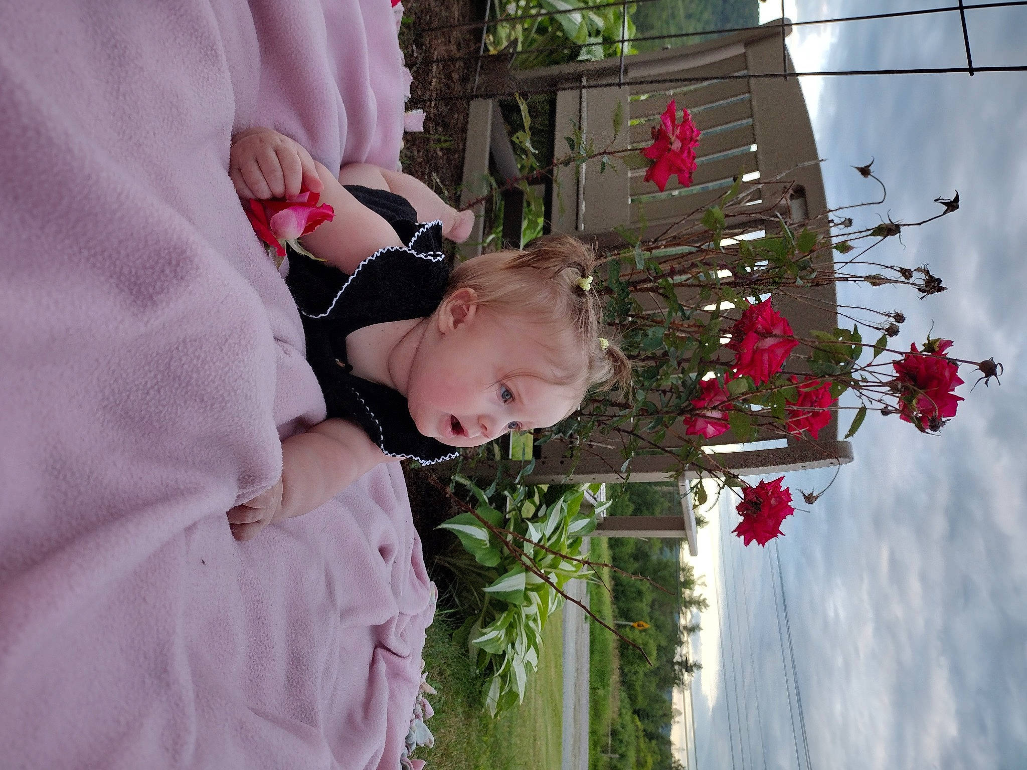 Harleigh joined the competition — help win amazing prizes! baby, building, cloud, dress, floral_design, flower, flower_arranging, flowerpot, glasses, grass, happy, houseplant, person, petal, pink, plant, sky, textile, toddler, tree