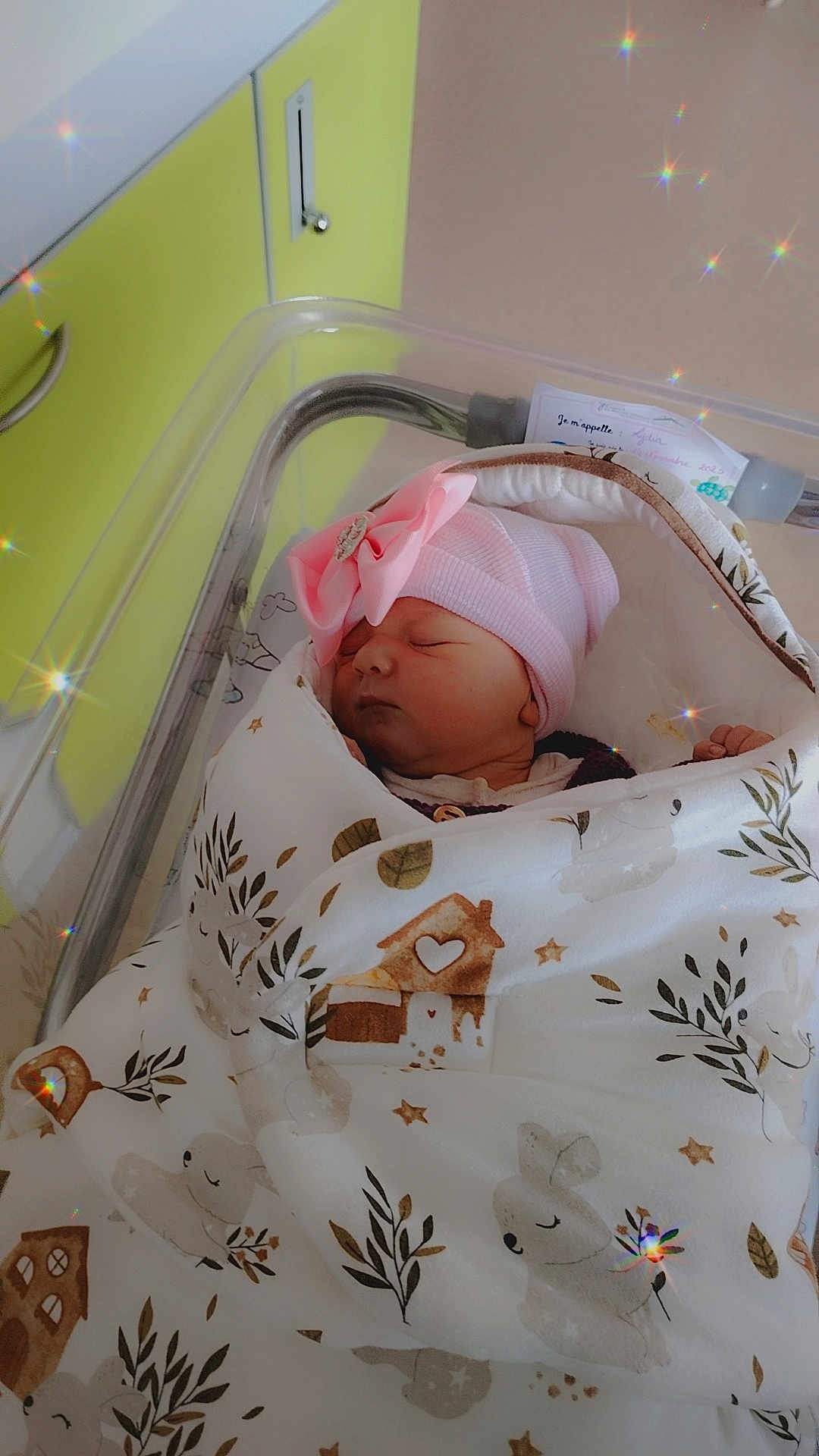 Lydia a rejoint le concours — aidez-le/la à gagner de superbes lots ! newborn, baby, sleeping, blanket, pink_hat, bow, hospital_bassinet, patterned_blanket, cute, peaceful, infant, wrapped, resting, soft_light, sparkles, indoors, person, face, head, cozy
