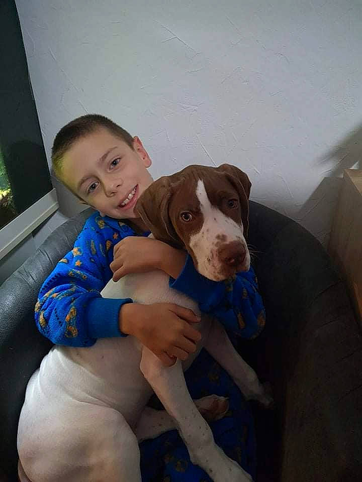 Sultan participe au concours pour gagner de l'argent avec cette photo : canidae, carnivore, child, comfort, companion_dog, couch, dog, dog_breed, family_car, fawn, fun, lap, leisure, liver, sitting, smile, sporting_group, thigh, toddler, working_animal