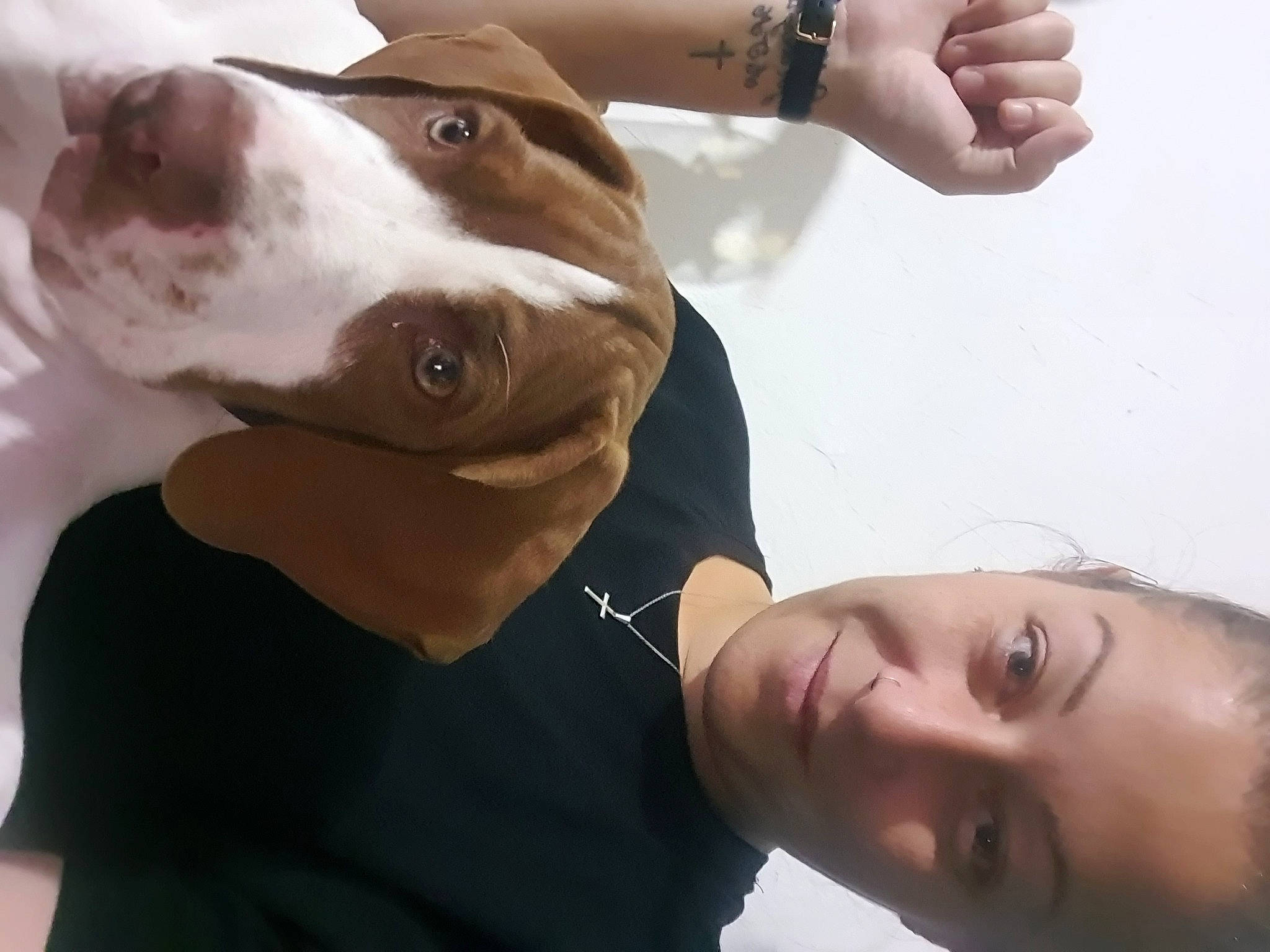 Sultan a rejoint le concours — aidez-le/la à gagner de superbes lots ! collar, companion_dog, dog, dog_breed, dog_collar, elbow, eyelash, eyewear, fashion_accessory, flash_photography, fun, gesture, happy, jaw, jewellery, mammal, selfie, thumb, white, working_animal