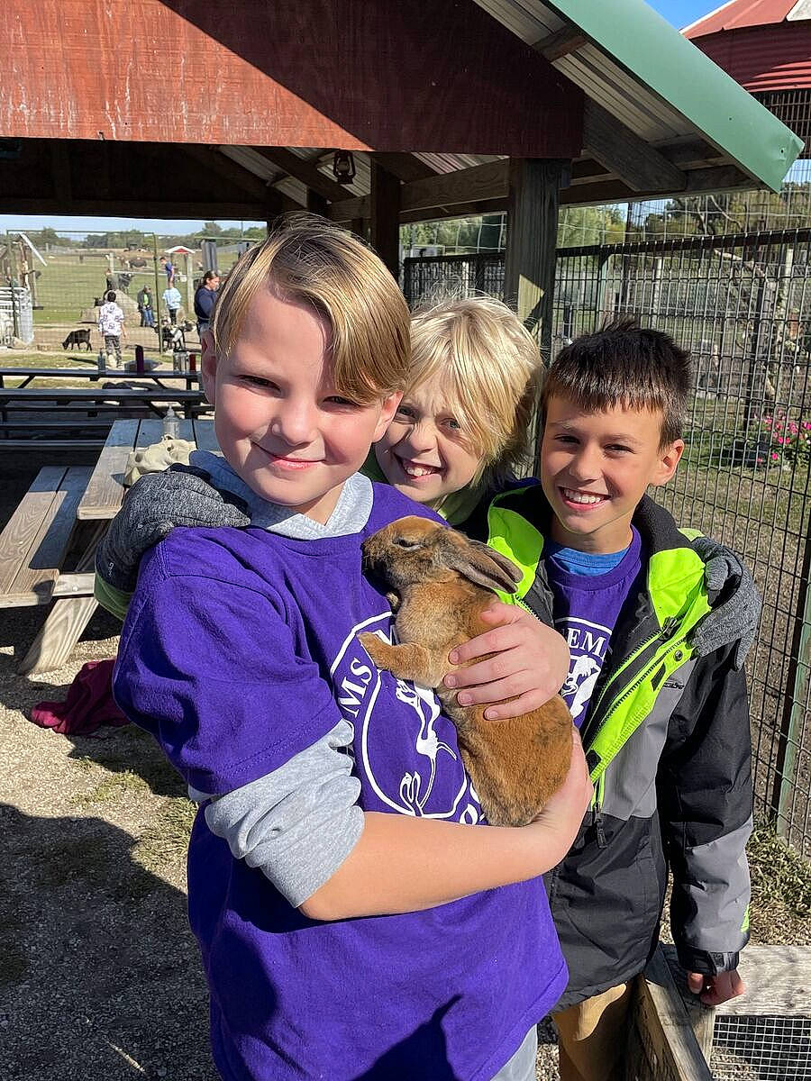 Dominic joined the competition — help win amazing prizes! child, companion_dog, event, fun, fur, grass, happy, hug, joy, laugh, leisure, luggage_and_bags, person, recreation, sitting, smile, soil, toddler, tourism, travel