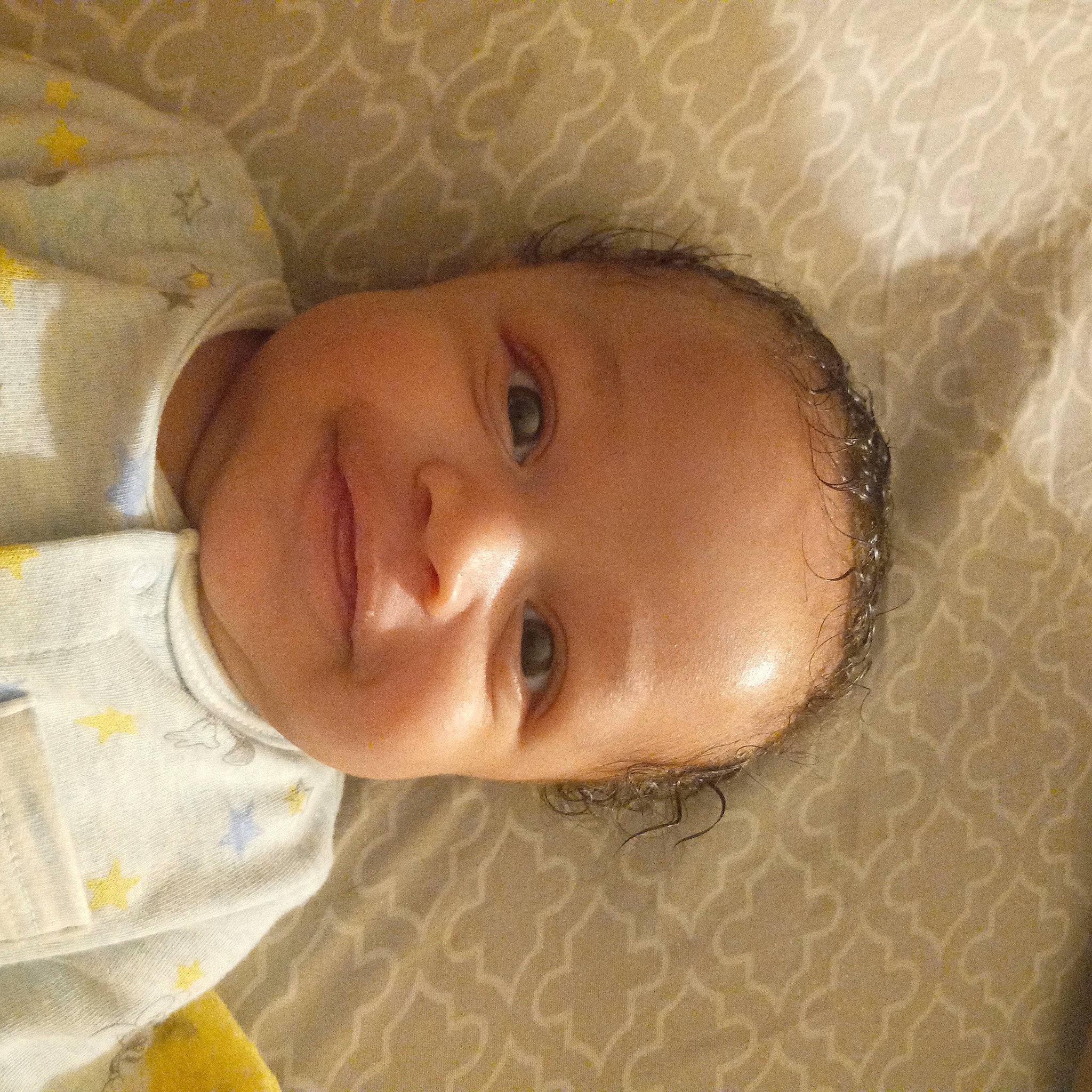 Solomon is registered to the contest to win money with this photo: cheek, chin, dress, eye, eyebrow, eyelash, forehead, hair, happy, head, iris, joy, lip, mouth, neck, nose, person, plant, skin, smile