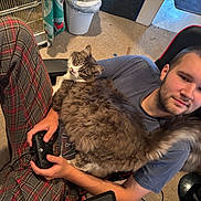 Concrete joined the competition — help win amazing prizes! man, cat, gaming_chair, controller, plaid_pants, carpet, indoor, relaxed, pet, furniture, casual, person, animal, fluffy_cat, comfort, technology, leisure, home, seated, young_adult