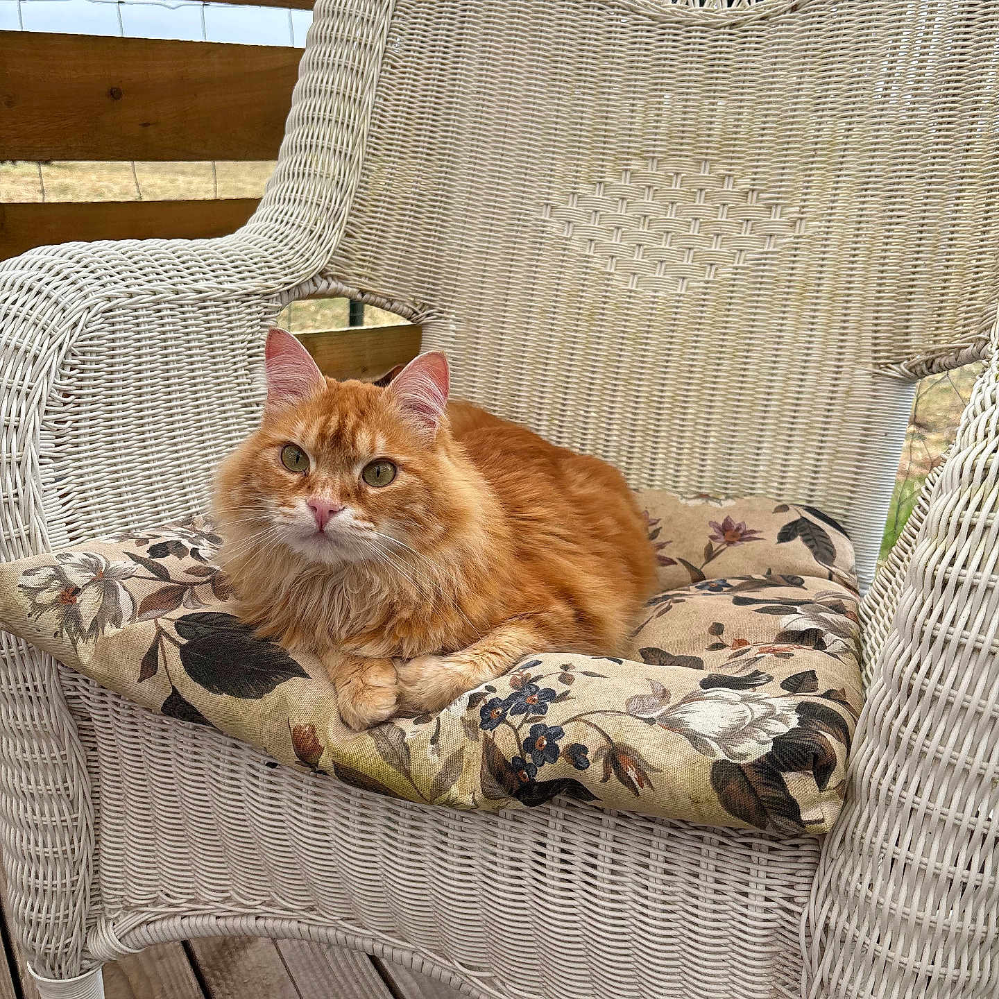 Gilbert